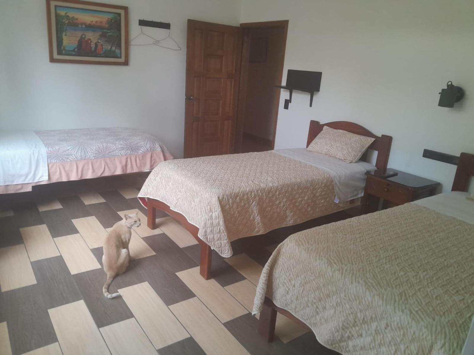Hostal Limoncocha Tena Extérieur photo