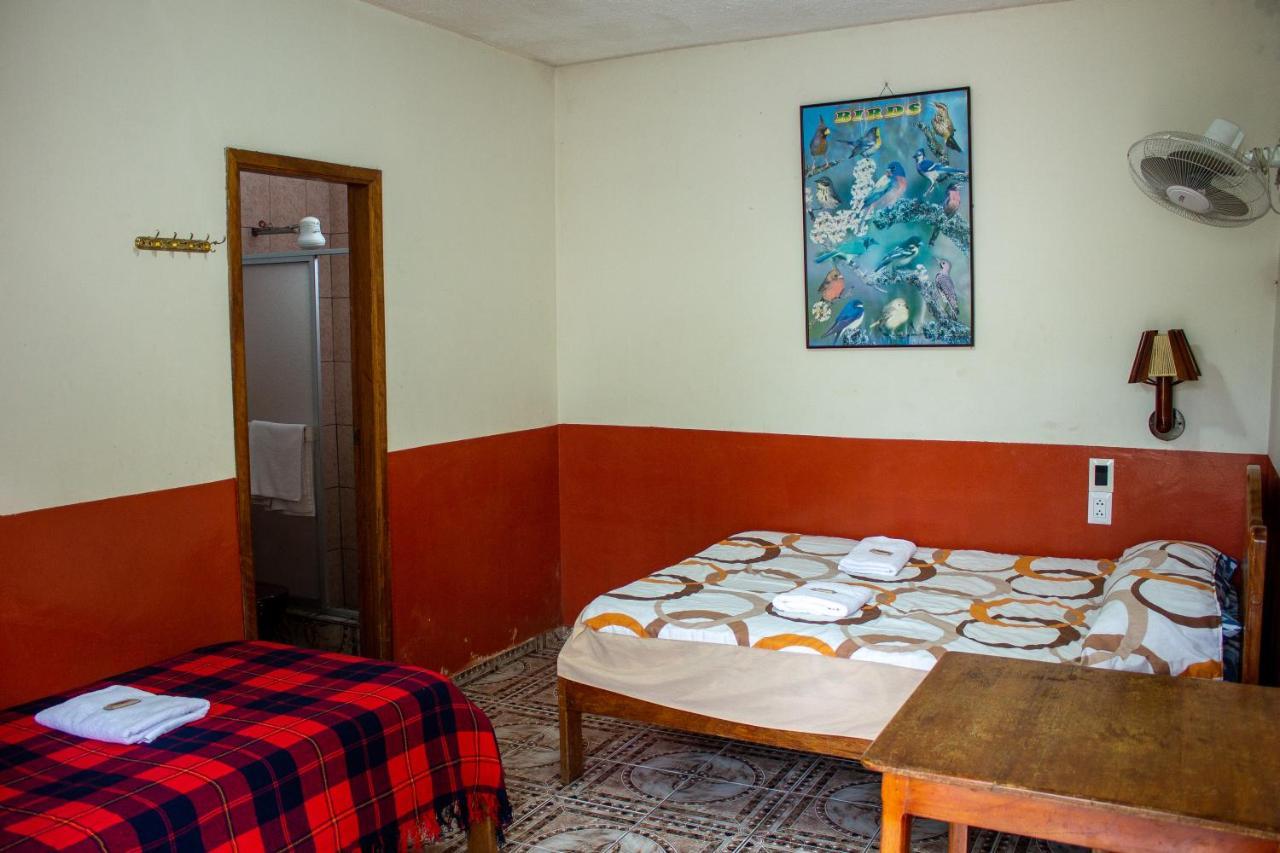 Hostal Limoncocha Tena Extérieur photo